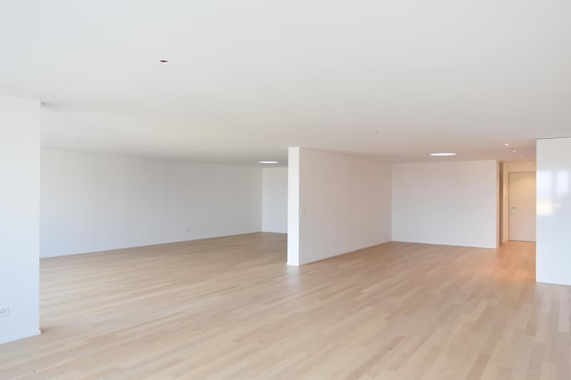 modernes Loft in Romanshorn (3)
