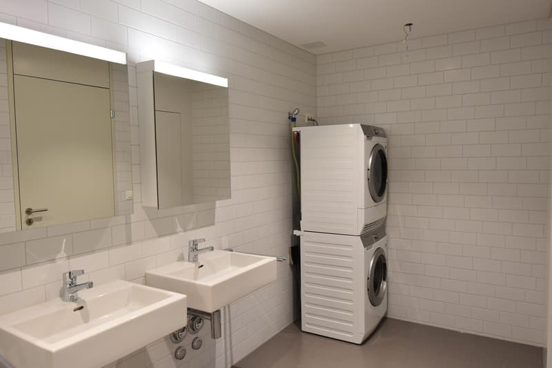 modernes Loft in Romanshorn (5)