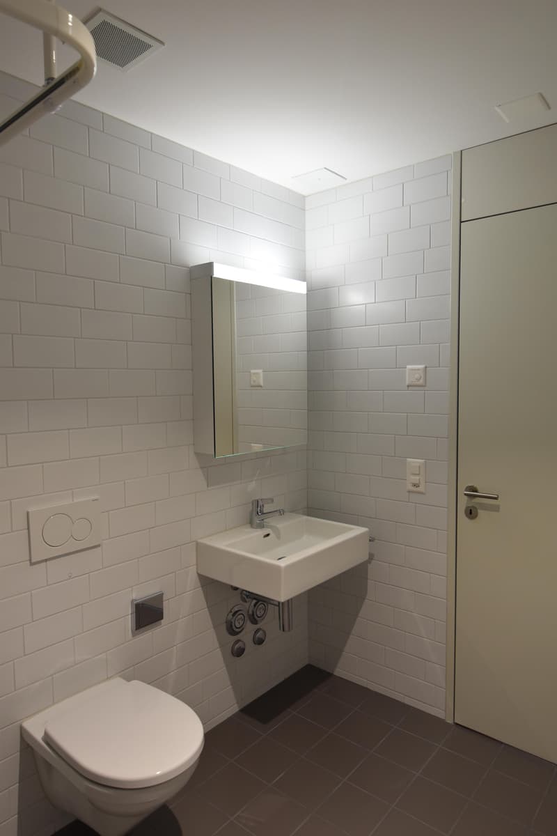 modernes Loft in Romanshorn (7)