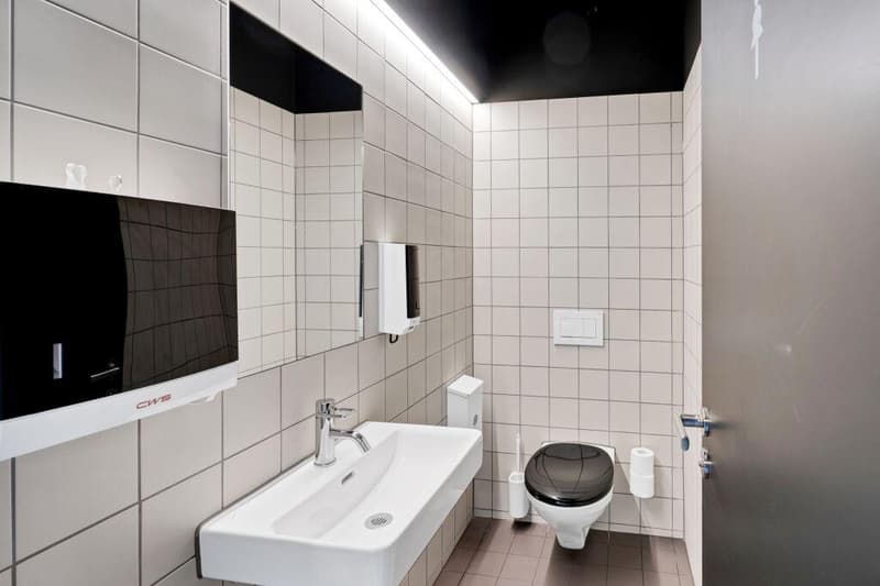 Büro-/Praxisflächen verschiedenster Grössen in renommiertem Geschäftshaus (12)