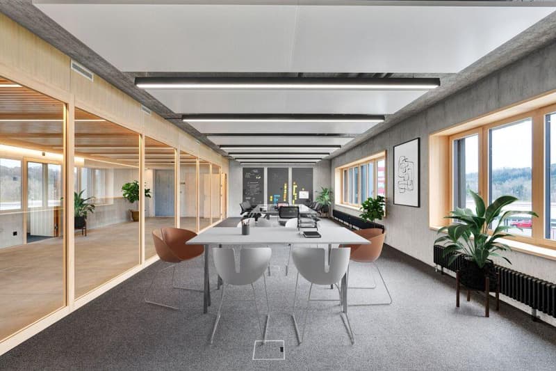 Immeuble d'affaires moderne avec caractère - espaces de différentes tailles (8)