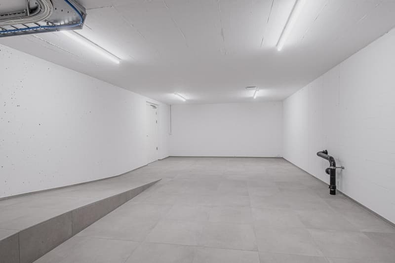 Espace commercial attractif au centre de Neuhausen ! (6)