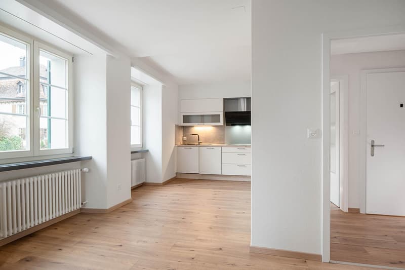 Appartement 4.5 pièces à Neunkirch (2)
