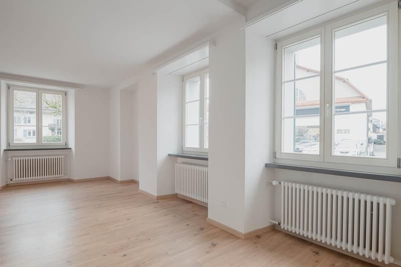 Appartement 4.5 pièces à Neunkirch (4)