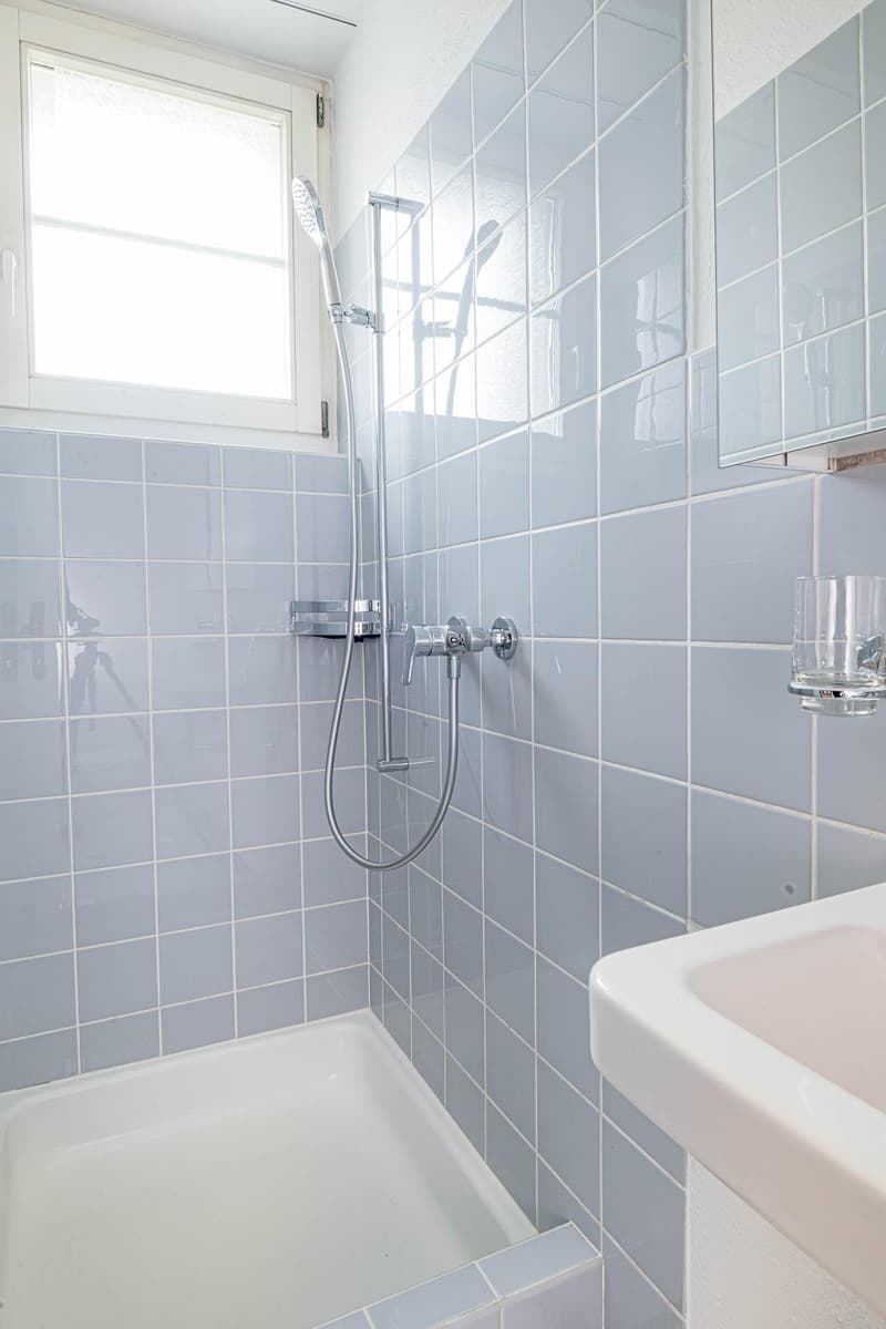 Appartement 4.5 pièces à Neunkirch (10)