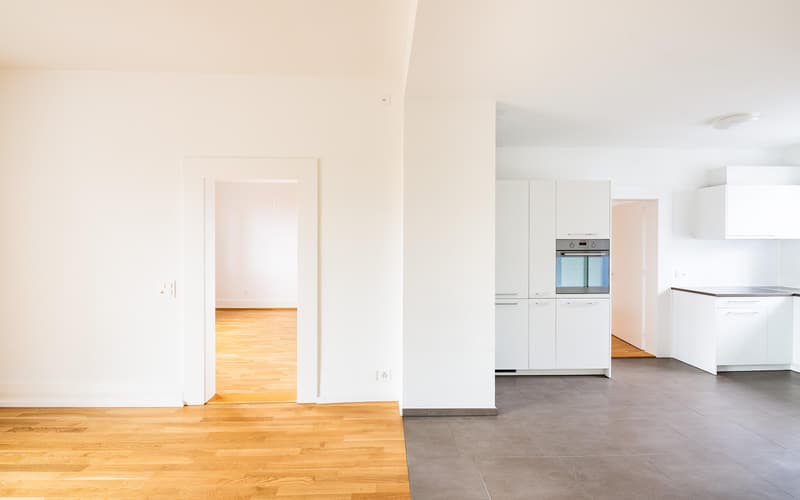 3.5-Zimmer-Wohnung in Schaffhausen (4)