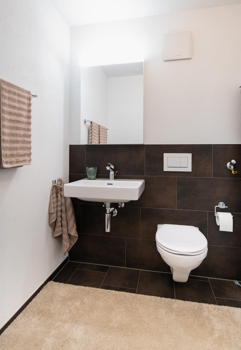 4.5 Zimmerwohnung in Neuhausen am Rheinfall (7)