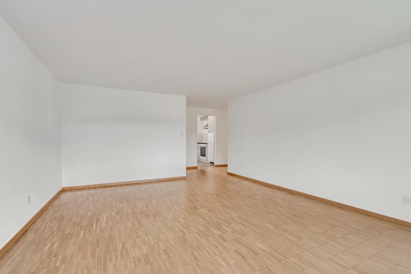 Charmante Wohnung mit Weitsicht ins Grüne und grosszügigem Grundriss (5)