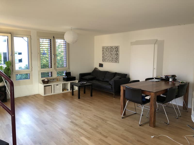 4.5 Zimmerwohnung in Aarau (2)