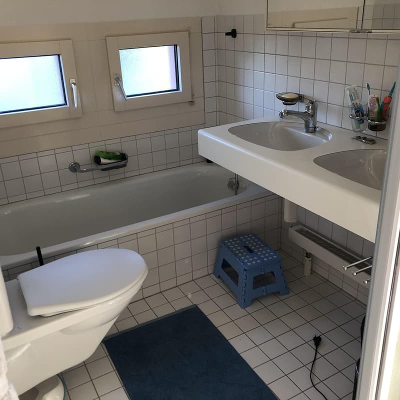 4.5 Zimmerwohnung in Aarau (6)