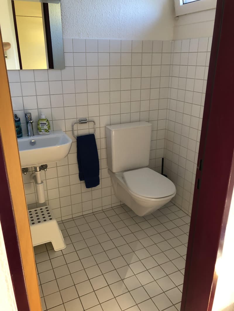 4.5 Zimmerwohnung in Aarau (5)
