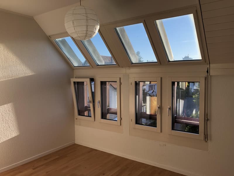4.5 Zimmerwohnung in Aarau (8)