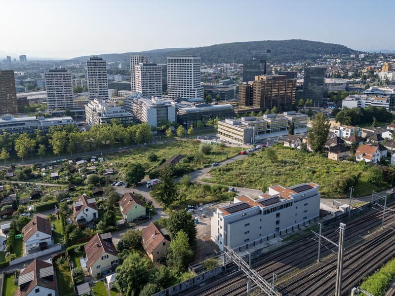 3.5 Zimmerwohnung in Zürich (2)
