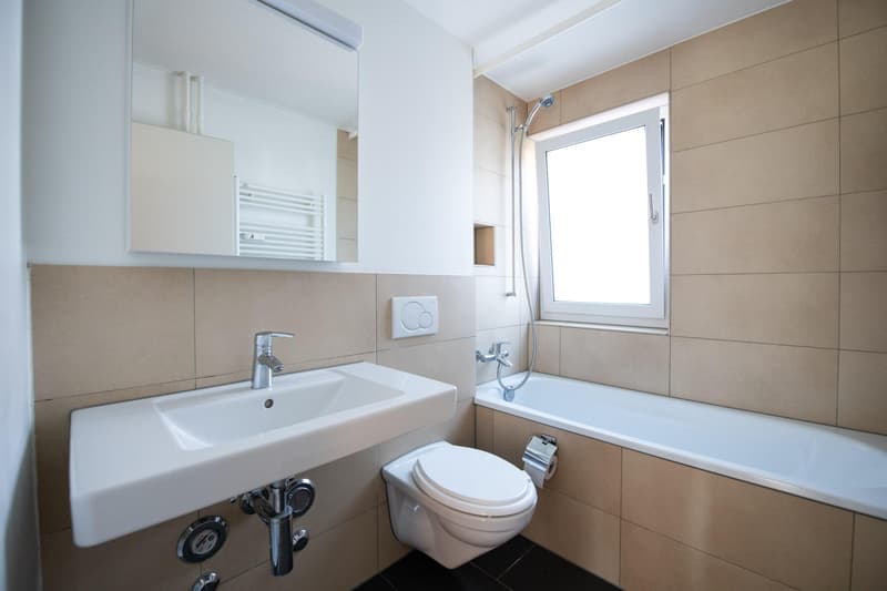 2.5 Zimmerwohnung in Schaffhausen (6)