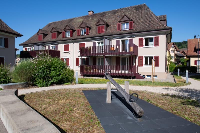2.5 Zimmerwohnung in Schaffhausen (8)