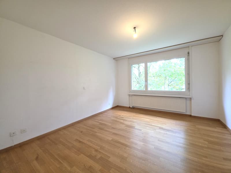 4.5 Zimmerwohnung in Schaffhausen (10)