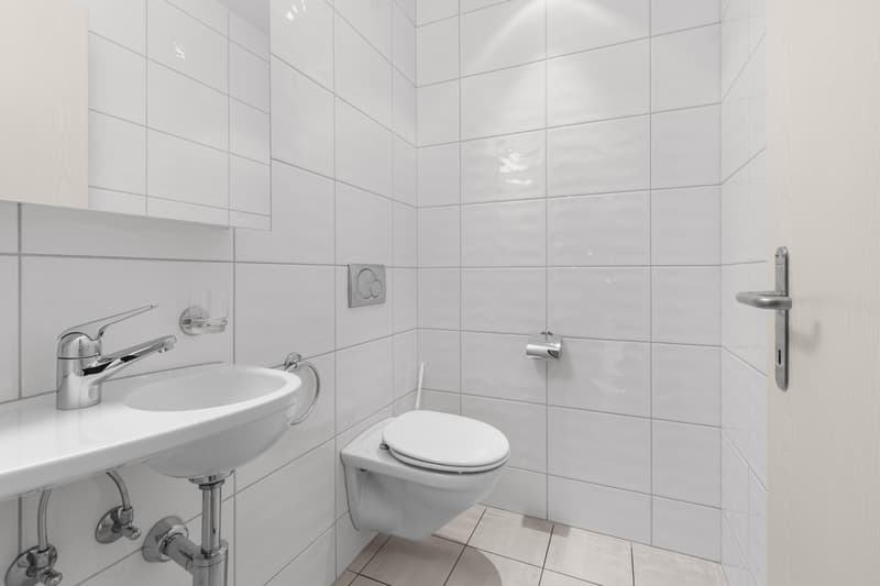 Wunderschöne 4.0 Zimmerwohnung in Erlenbach (9)