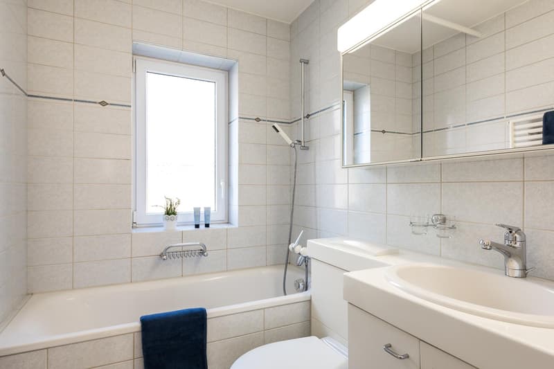4-Zimmer-Wohnung in Schaffhausen (7)