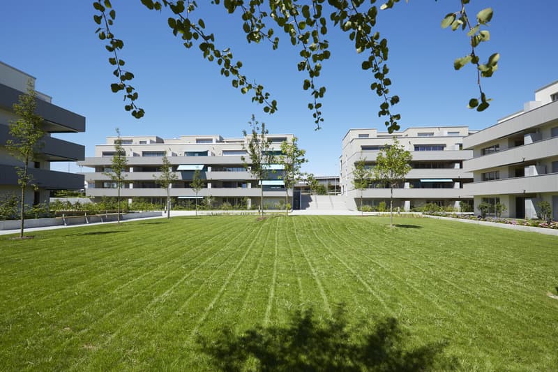 3.5 Zimmerwohnung in Romanshorn (1)