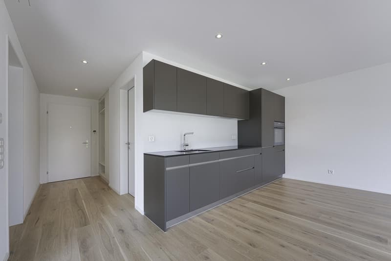 2.5 Zimmerwohnung in Zürich (5)