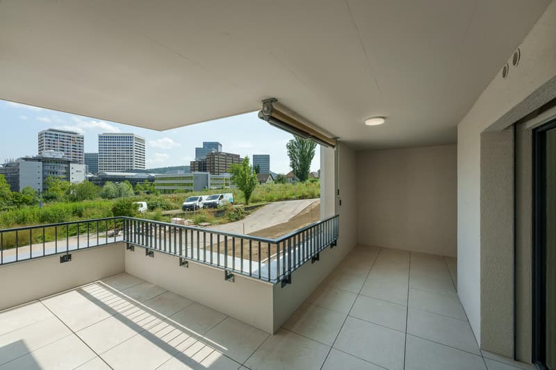 2.5 Zimmerwohnung in Zürich (10)