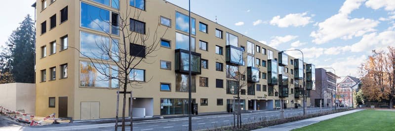 4.5 Zimmerwohnung in Rorschach (1)