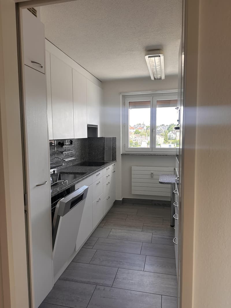 2.0 Zimmerwohnung in Wallisellen (3)
