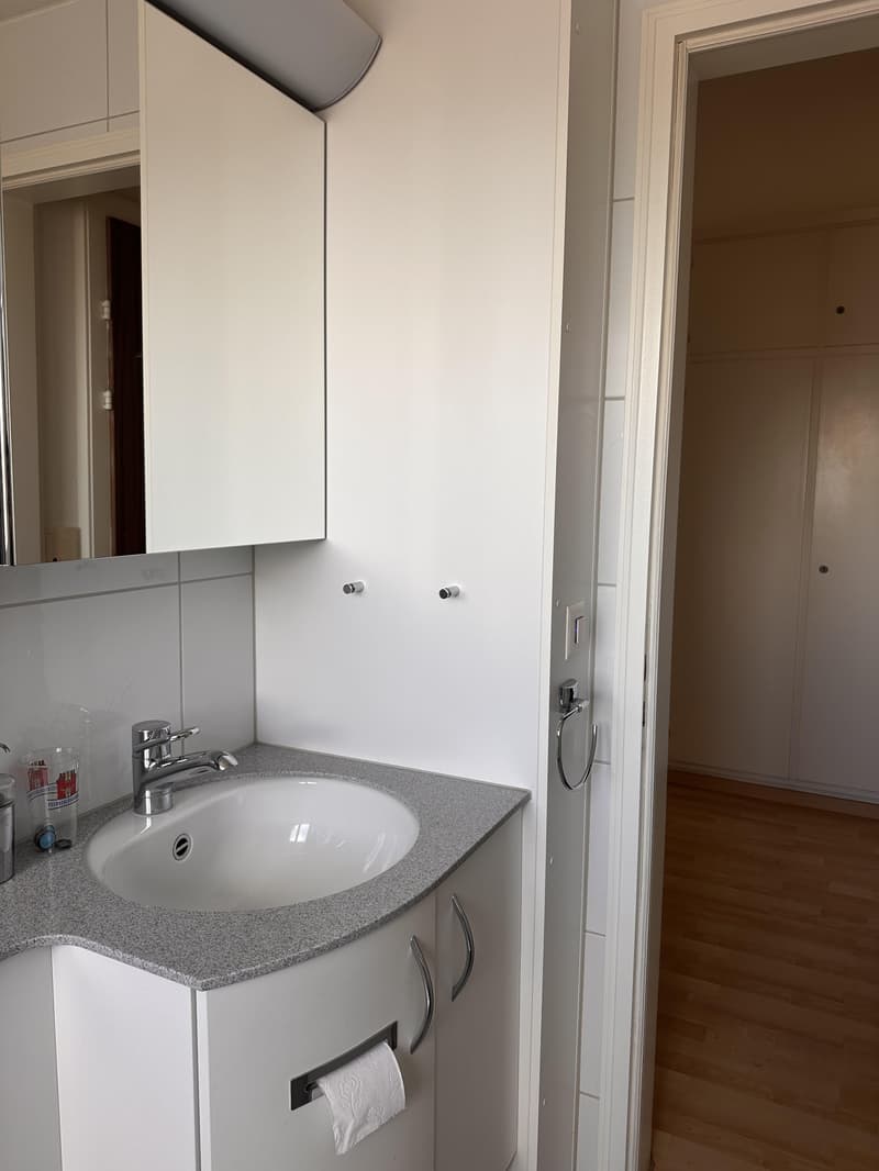 2.0 Zimmerwohnung in Wallisellen (11)