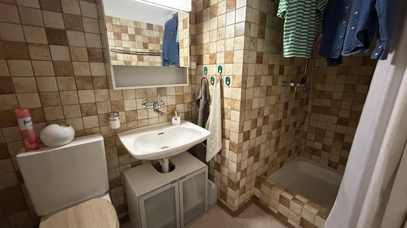 Charmante 6.5 Zimmerwohnung in Brüttisellen / Befristet bis 30.11.2027 (7)