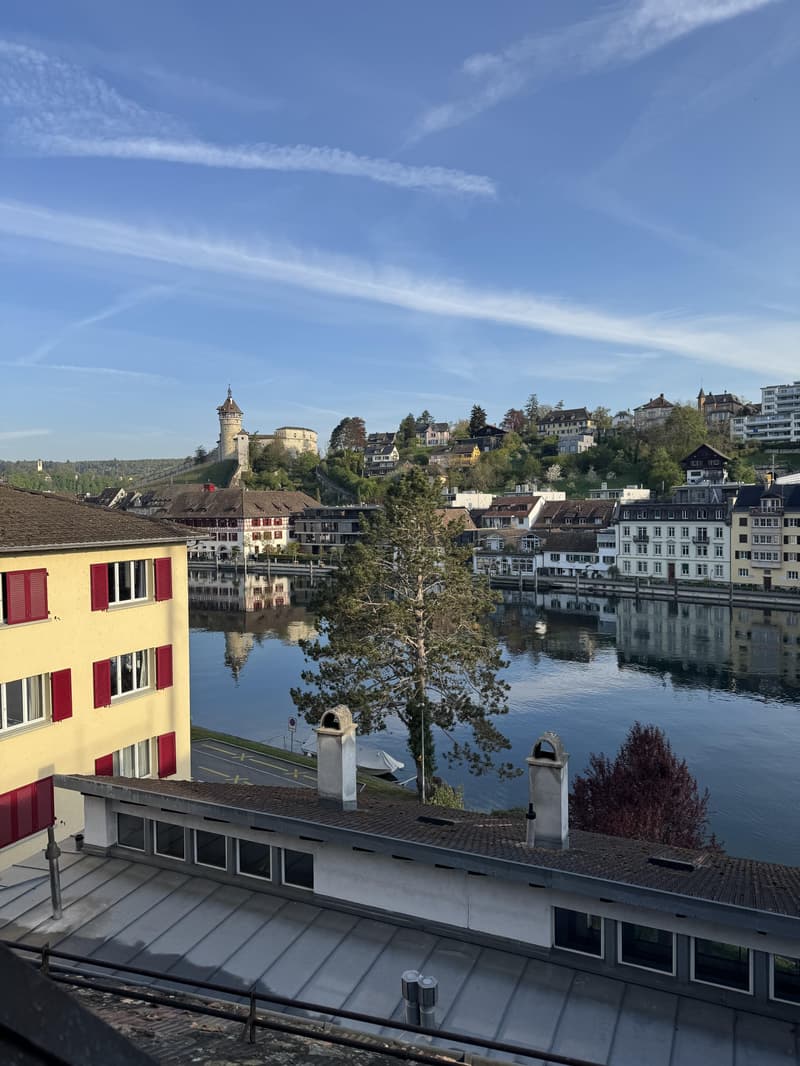 Charmante 3.5 Zimmerwohnung in Feuerthalen (1)