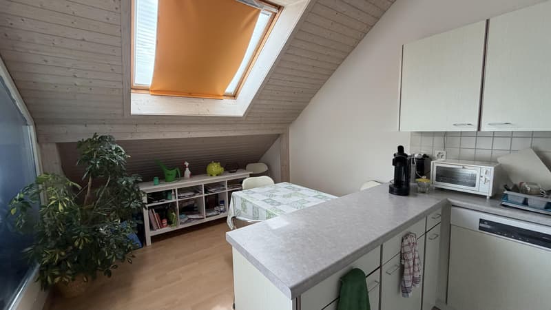 3.5 Zimmerwohnung in Tann / befristet bis 30. September 2027 (5)