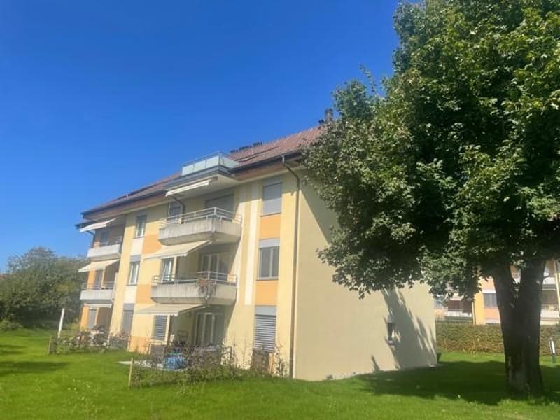 3.5 Zimmerwohnung in Tann / befristet bis 30. September 2027 (1)