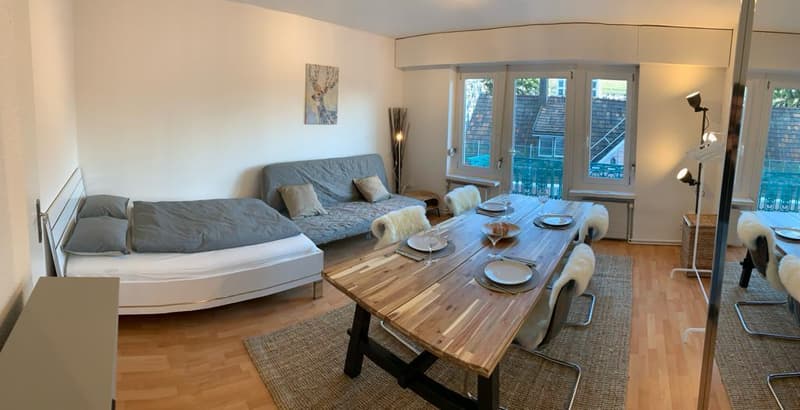 1.5 Zimmerwohnung in St. Gallen (3)