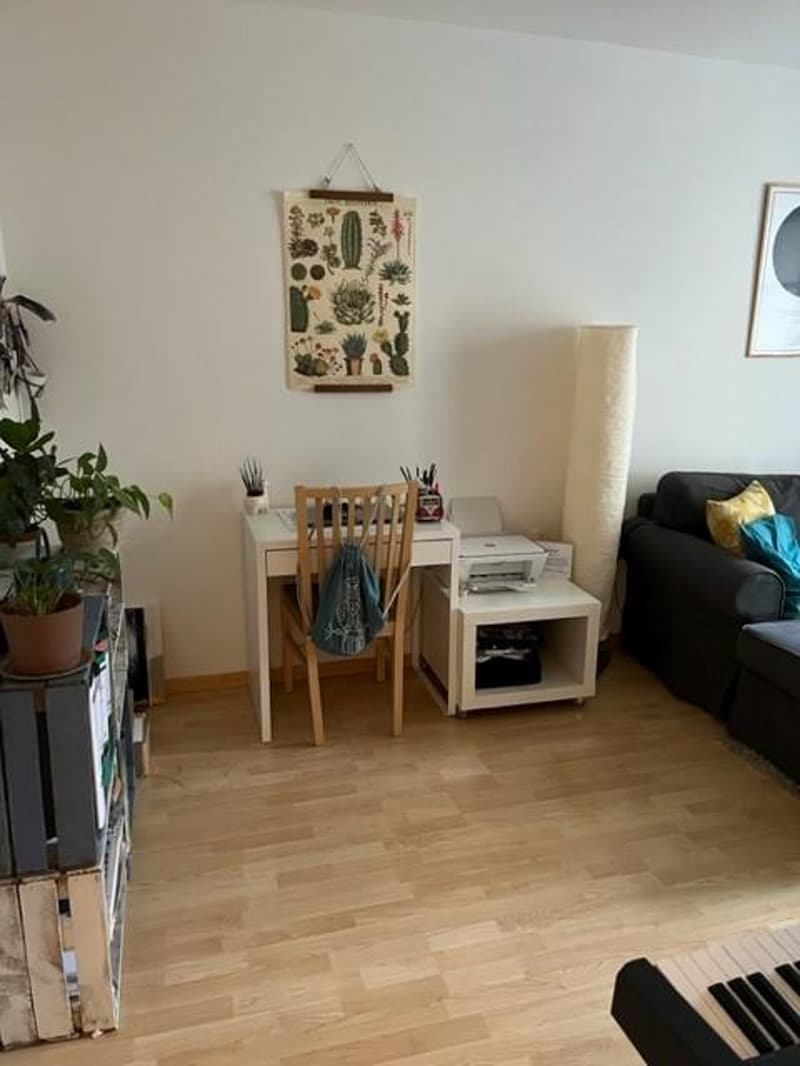 Kompakt, clever, citynah - perfekte 2.5- Zimmerwohnung (10)