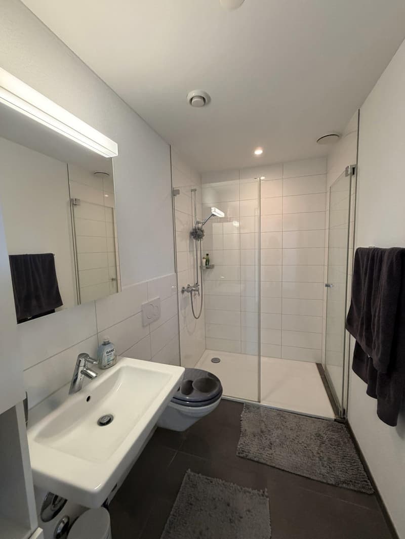 2.5 Zimmerwohnung in Effretikon (3)