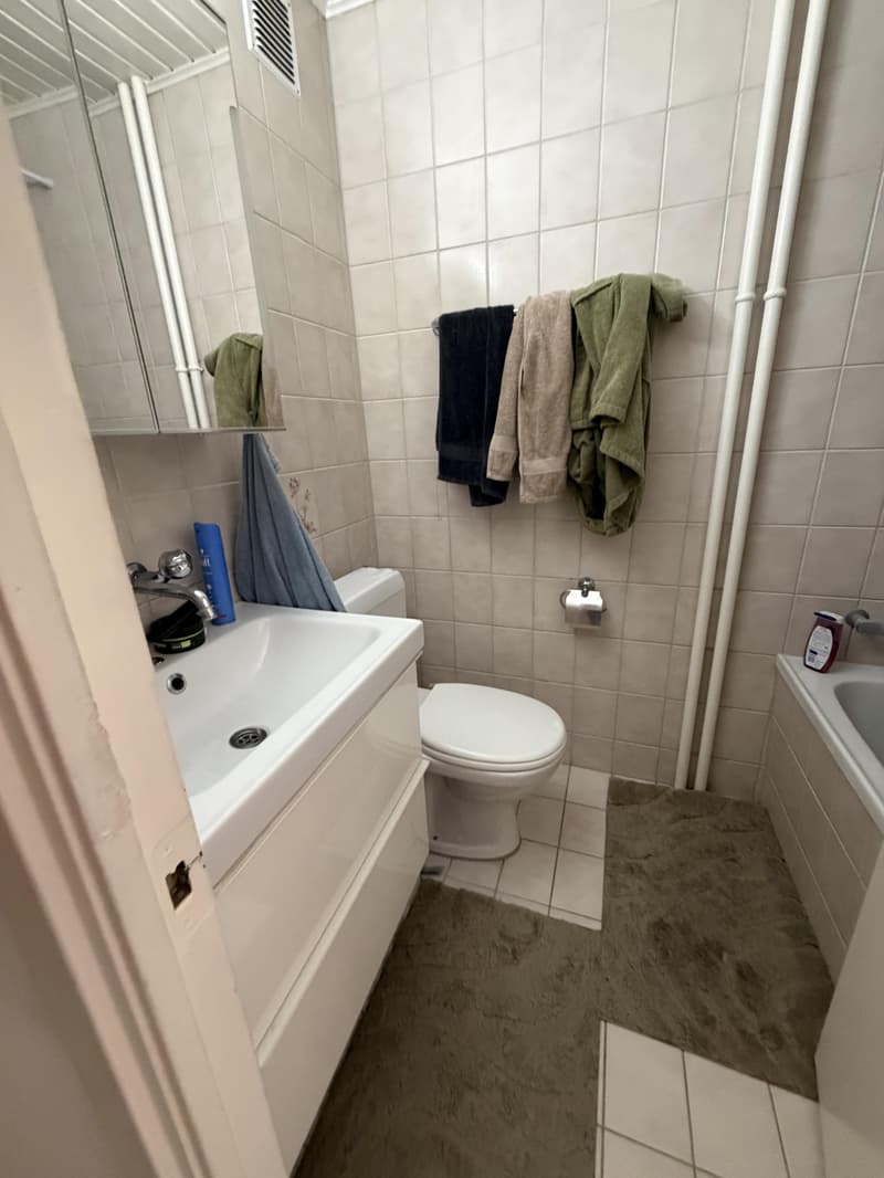 Befristete 3-Zimmer-Wohnung in Bachenbülach ideal als Übergangslösung (5)