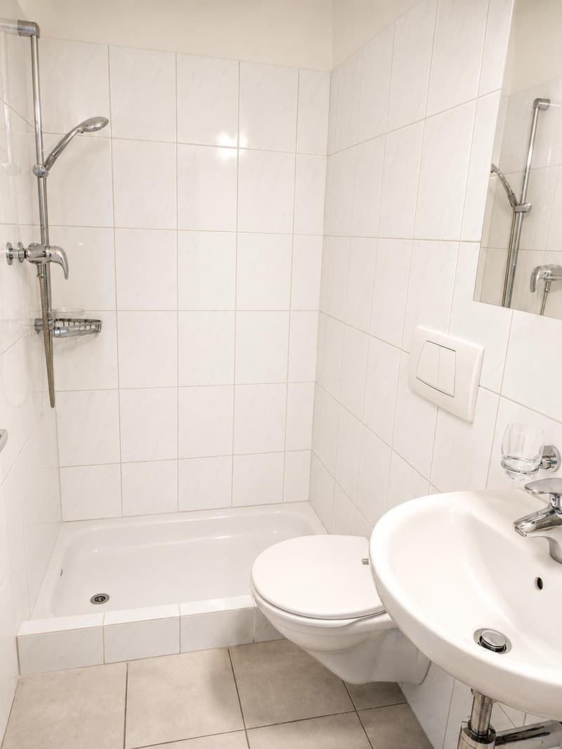 Familienfreundliche 3.5-Zimmer-Dachgeschoss-Wohnung in Pfungen! (7)