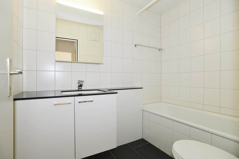 3.5 Zimmer-Wohnung in Neuhausen am Rheinfall (7)