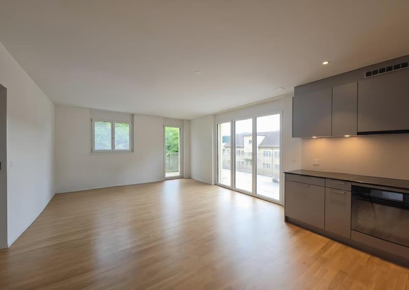 Moderne 2.5-Zimmer-Wohnung mit grossem Balkon in Thayngen! (1)