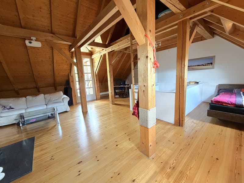 4.5 Zimmerwohnung in Schaffhausen (3)