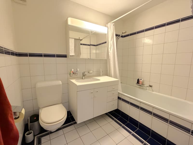 4.5 Zimmerwohnung in Schaffhausen (10)