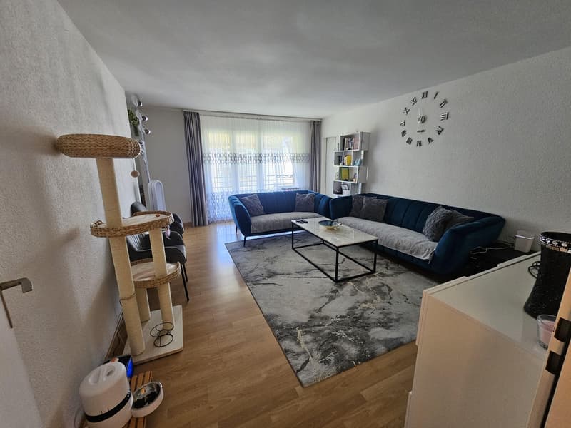 Befristet bis 30.09.2027 / 5.5 Zimmerwohnung in Tann (4)