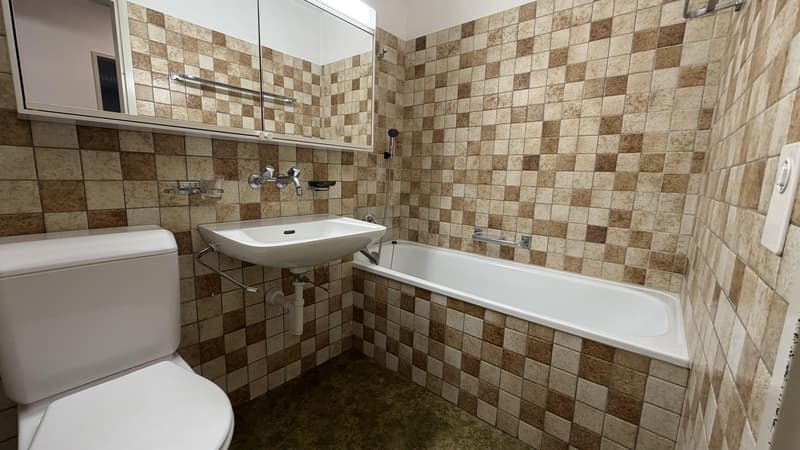 Befristet bis 30.11.2027 / 4.5 Zimmerwohnung in Brüttisellen (8)