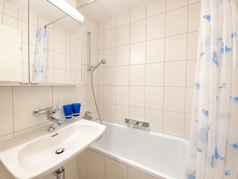 Schöne 3.5 Zimmerwohnung in Neuhausen am Rheinfall (6)