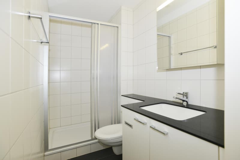 4.5 Zimmer-Wohnung in Neuhausen am Rheinfall (8)