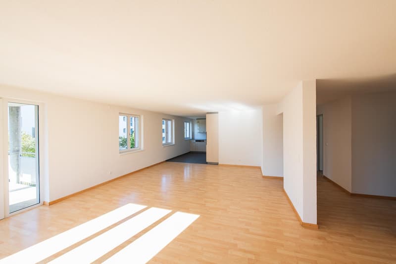3.5 Zimmerwohnung in Schaffhausen (3)