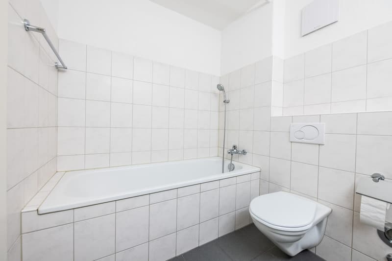 3.5 Zimmerwohnung in Schaffhausen (6)