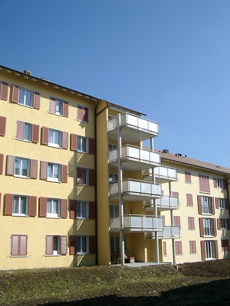3.5 Zimmerwohnung in Schaffhausen (1)