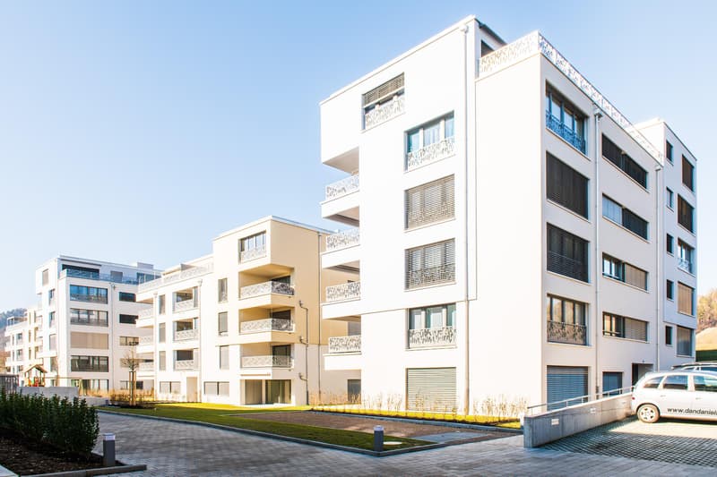 3.5 Zimmerwohnung in Neftenbach (1)