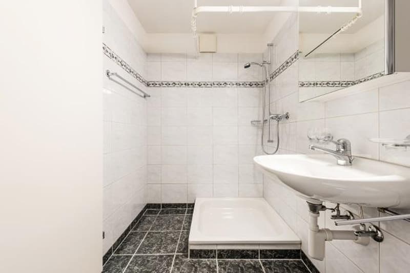 4.5 Zimmerwohnung in Flums (5)